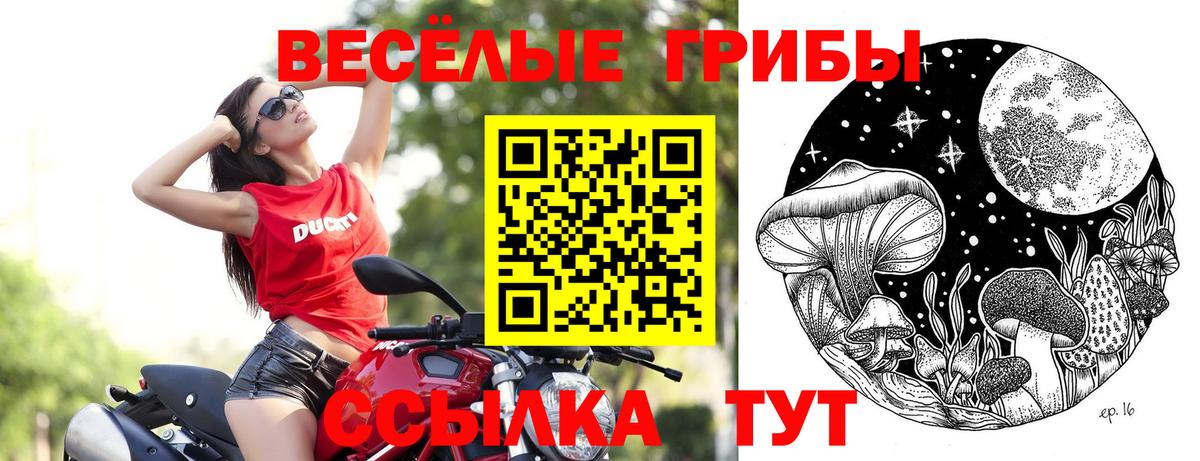 Галлюциногенные грибы мицелий Мценск
