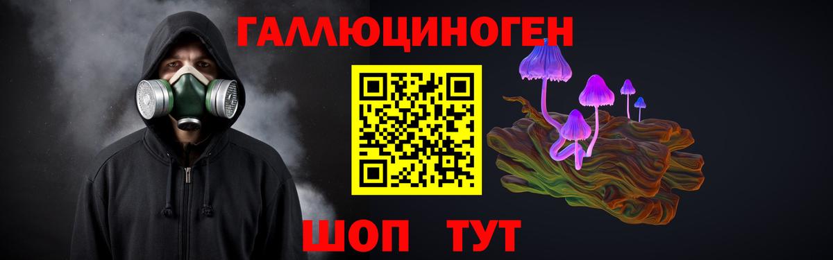 Мценск  Галлюциногенные грибы GOLDEN TEACHER  Вход с VPN 